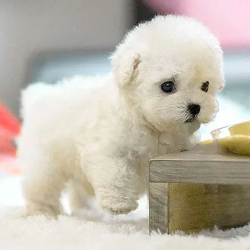 Realistic Robot Puppy🐶(🎄Official Exclusive)- 2024