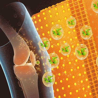 🎄 RFMediTherm™ Radiofrequente Kräuter-Thermo-Kniebandage(Von RKI-Experten empfohlen - Geeignet für alle Beinleiden)
